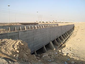 إنشاء جسور وأنفاق بتبوك